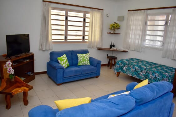 Spacious lounge with TV
